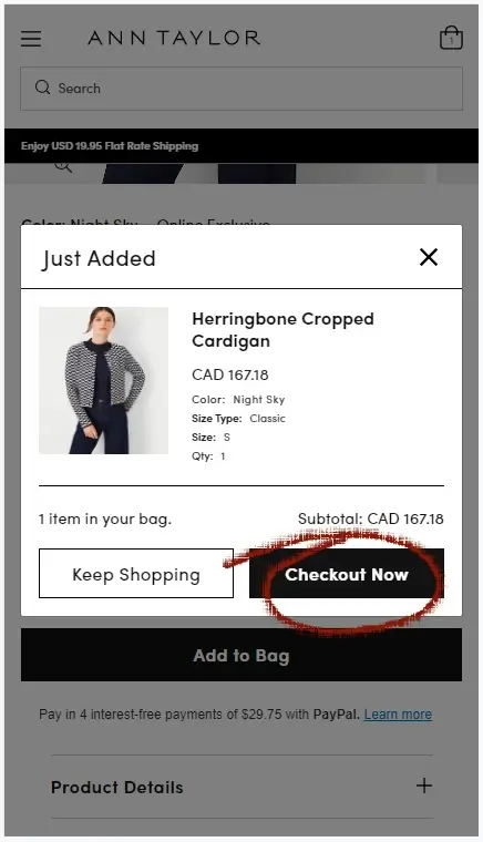 How to use a coupon on Ann Taylor - Step 2: A screenshot of anntaylor.com with a circle highlighting a link labelled 'Checkout Now'