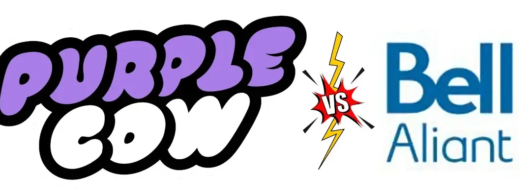 My Honest Review of Purple Cow Internet – The Good, The Bad, and The Reality