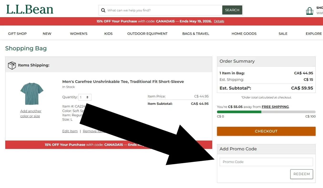 llbean-3 llbean shopping bag page with promo code field highlighted